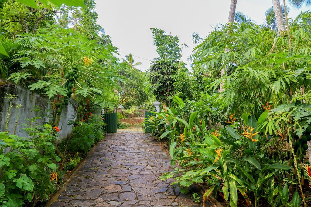 Villa Green Cottage Hikkaduwa Luaran gambar